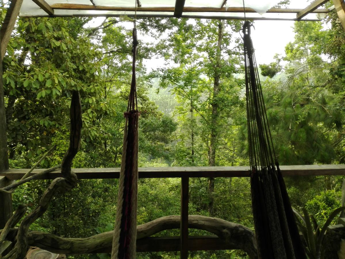 Paraiso Verde Chijou Εξωτερικό φωτογραφία