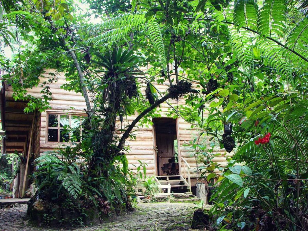 Paraiso Verde Chijou Εξωτερικό φωτογραφία