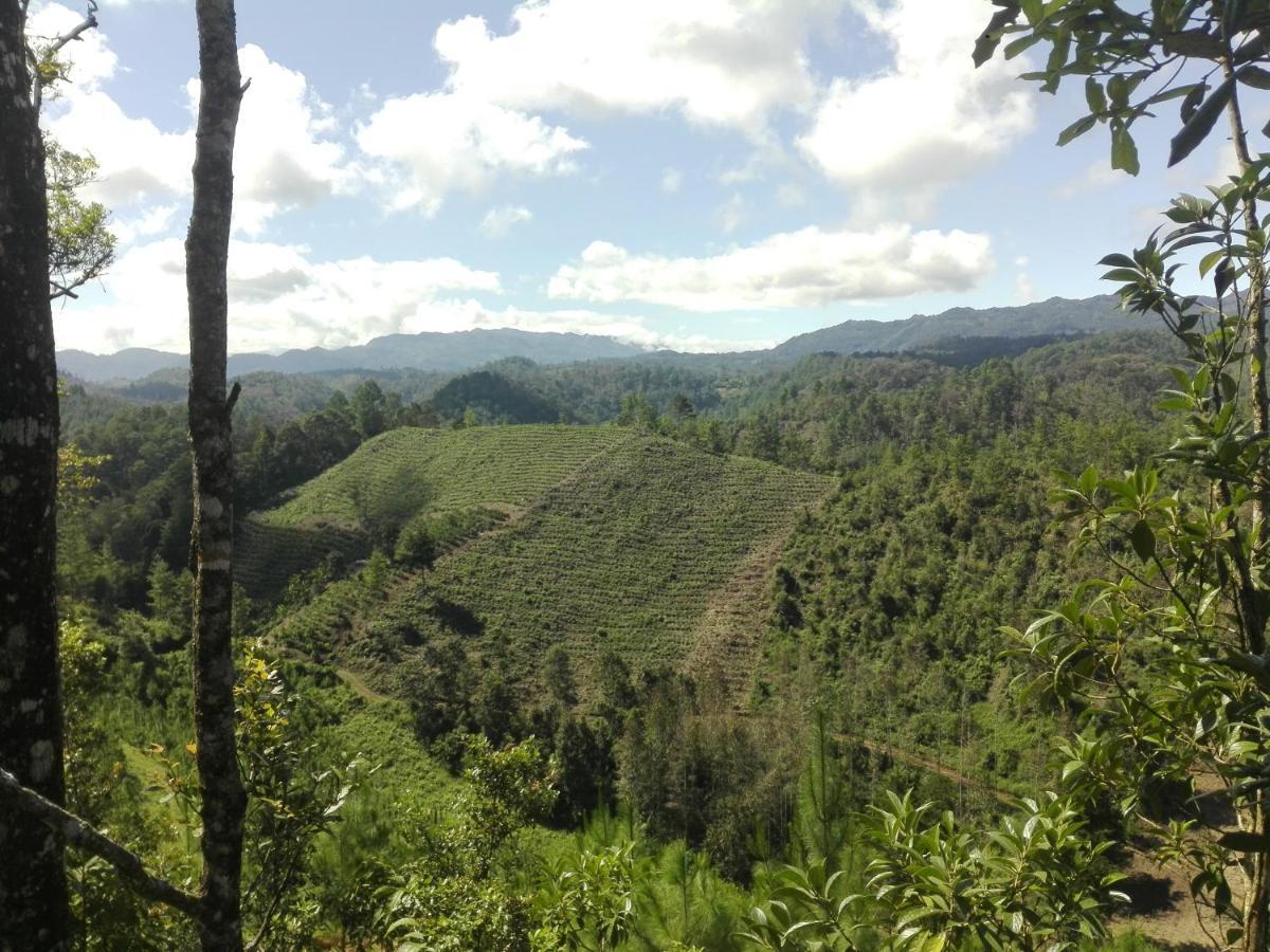 Paraiso Verde Chijou Εξωτερικό φωτογραφία